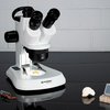 analyth_icd-5.jpg